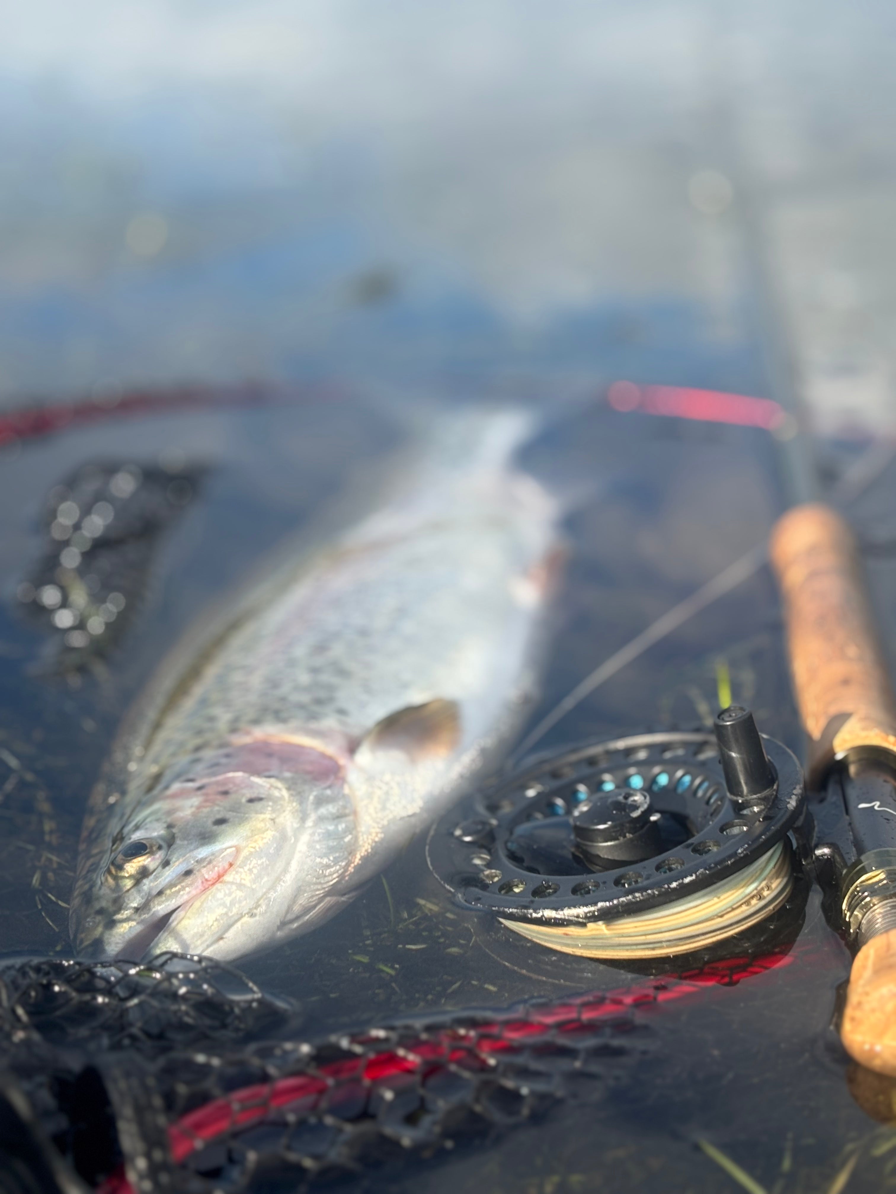 Fly Fishing Experiences