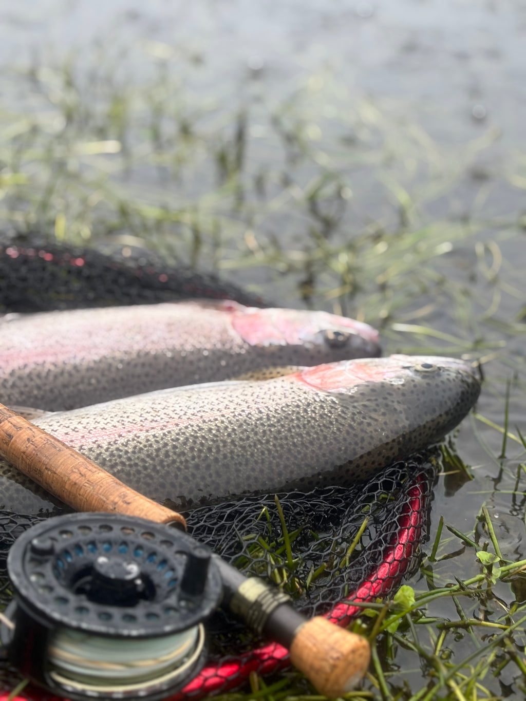Exmoor Game School - Fly Fishing Club