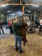 Group Bookings, Experiences & Parties