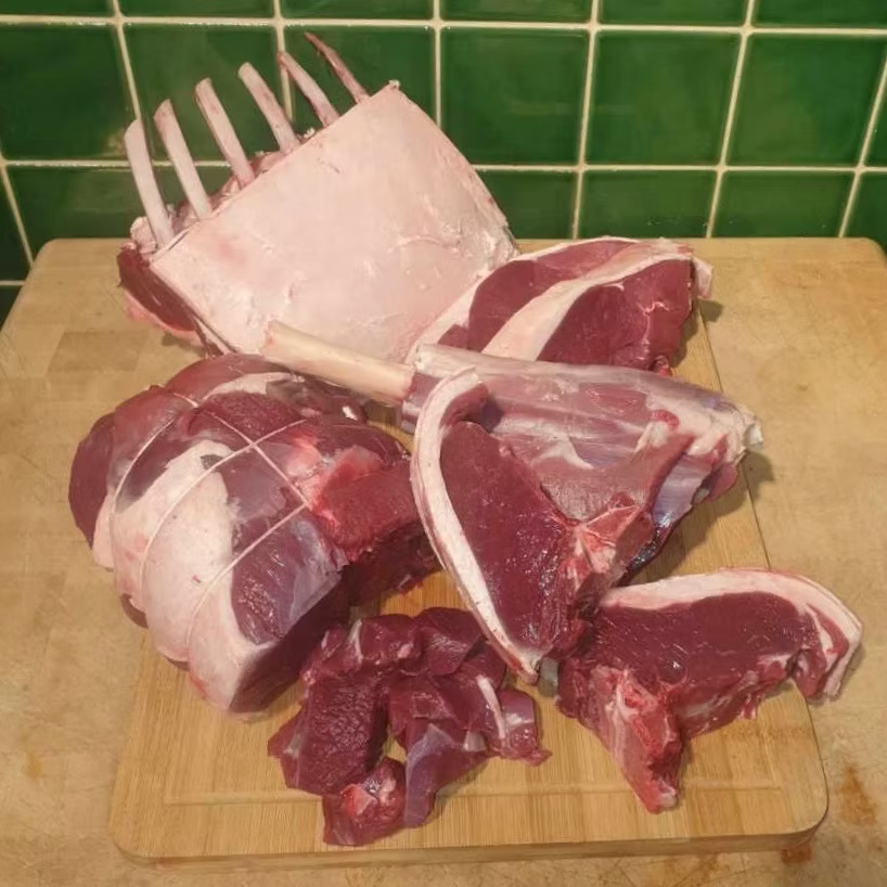 Adult Venison Butchery Course