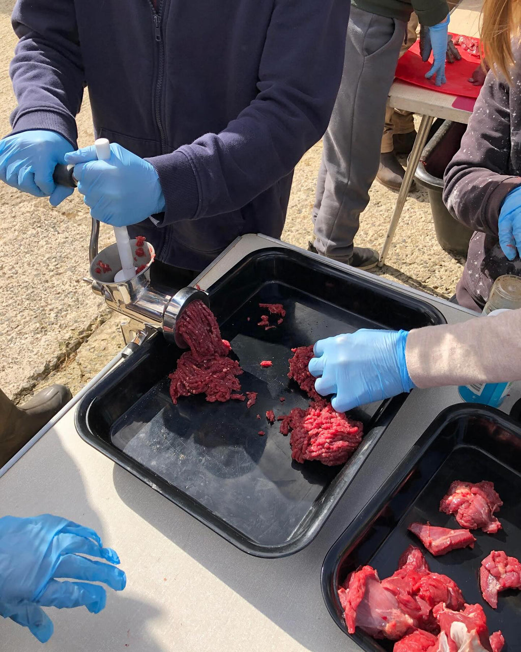 Adult Venison Butchery Course