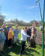 Group Bookings, Experiences & Parties